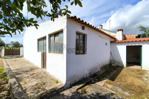 Villa i Santiago do Cacem, Setubal, Santiago do Cacem - € 140.000 | Ref: 281601102 - foto 21