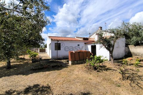 Villa i Santiago do Cacem, Setubal, Santiago do Cacem - € 140.000 | Ref: 281601102 - foto 24