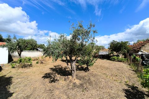 Villa i Santiago do Cacem, Setubal, Santiago do Cacem - € 140.000 | Ref: 281601102 - foto 25