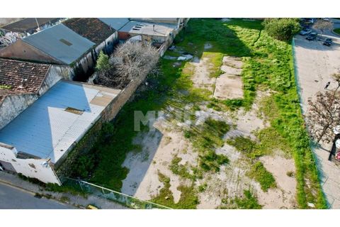 Helårsgrund i Quelfes, Faro, Quelfes - € 1.850.000 | Ref: 165260031 - foto 4