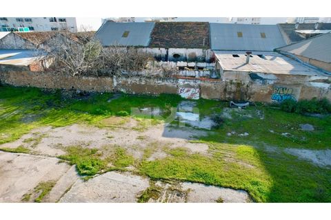 Helårsgrund i Quelfes, Faro, Quelfes - € 1.850.000 | Ref: 165260031 - foto 11