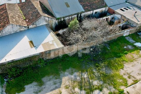 Helårsgrund i Quelfes, Faro, Quelfes - € 1.850.000 | Ref: 165260031 - foto 12