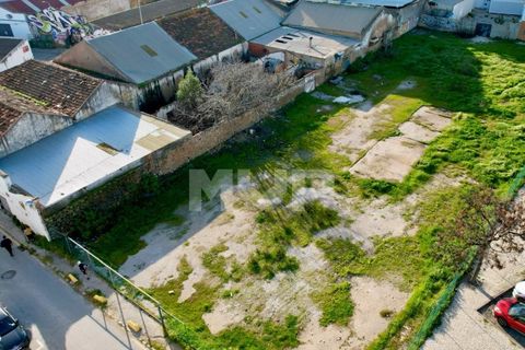 Helårsgrund i Quelfes, Faro, Quelfes - € 1.850.000 | Ref: 165260031 - foto 13