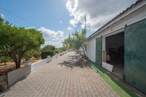 Villa i Cartaxo, Santarem, Cartaxo - € 285.000 | Ref: PE-123751610-37 - foto 21