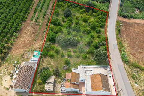 Farm i Silves, Faro, Silves - € 349.000 | Ref: PE-123751070-155 - foto 4