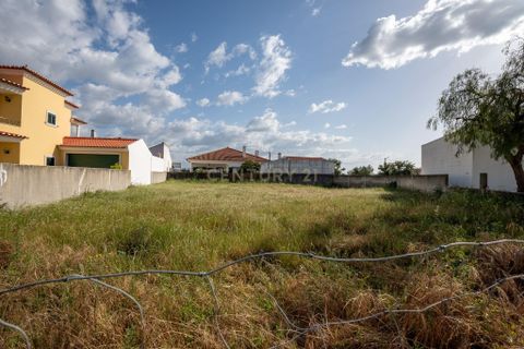 Terra a Samora Correia, Santarem, Samora Correia - € 125.000 | Ref: C0364-05795 - foto 3