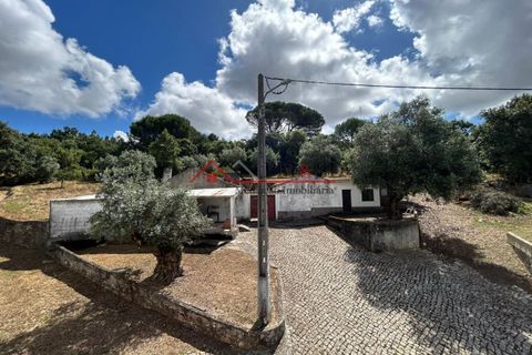 Villa i Leiria, Leiria, Leiria - € 95.000 | Ref: PM153 - foto 1
