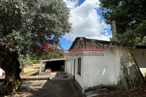 Villa i Leiria, Leiria, Leiria - € 95.000 | Ref: PM153 - foto 7