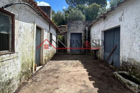Villa i Leiria, Leiria, Leiria - € 95.000 | Ref: PM153 - foto 8