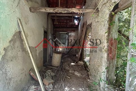 Villa i Leiria, Leiria, Leiria - € 95.000 | Ref: PM153 - foto 13