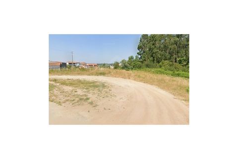 Terra a Angeja, Aveiro, Angeja - € 230.000 | Ref: 8124 - foto 2