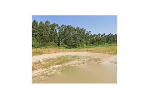 Terra a Angeja, Aveiro, Angeja - € 230.000 | Ref: 8124 - foto 3