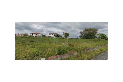 Helårsgrund i Agueda, Aveiro, Agueda - € 274.000 | Ref: 8117 - foto 2