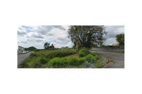 Helårsgrund i Agueda, Aveiro, Agueda - € 274.000 | Ref: 8117 - foto 3