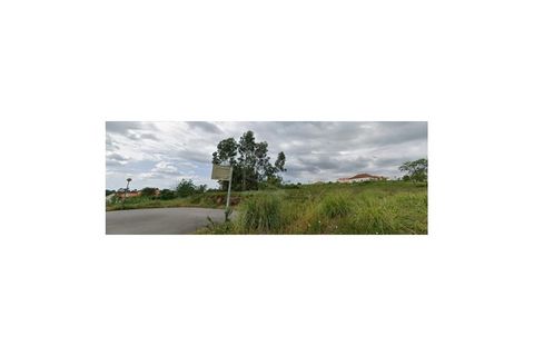 Helårsgrund i Agueda, Aveiro, Agueda - € 87.000 | Ref: 8116 - foto 5