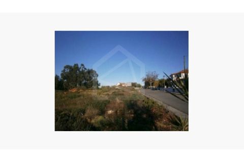 Helårsgrund i Agueda, Aveiro, Agueda - € 177.000 | Ref: 8115 - foto 4