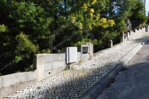 Terra a Luso, Aveiro, Luso - € 181.000 | Ref: 8114 - foto 4