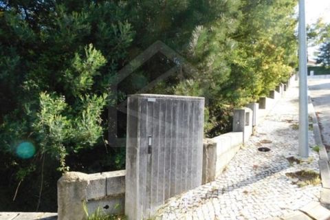 Terra a Luso, Aveiro, Luso - € 181.000 | Ref: 8114 - foto 7