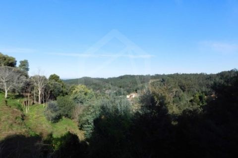 Terra a Luso, Aveiro, Luso - € 181.000 | Ref: 8114 - foto 8