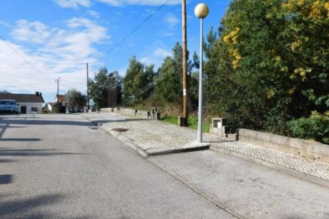 Terra a Luso, Aveiro, Luso - € 181.000 | Ref: 8114 - foto 10