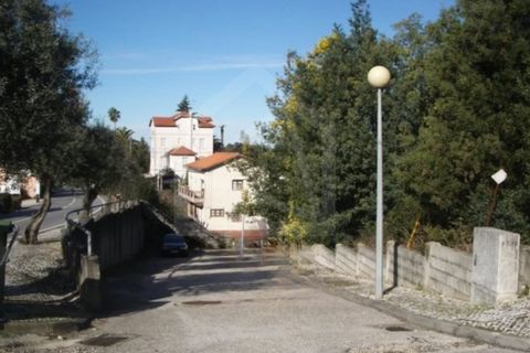 Terra a Luso, Aveiro, Luso - € 181.000 | Ref: 8114 - foto 11