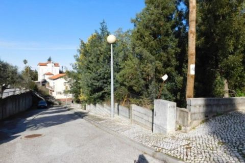 Terra a Luso, Aveiro, Luso - € 181.000 | Ref: 8114 - foto 12