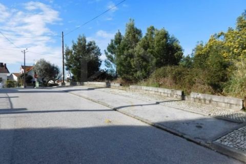 Terra a Luso, Aveiro, Luso - € 181.000 | Ref: 8114 - foto 14