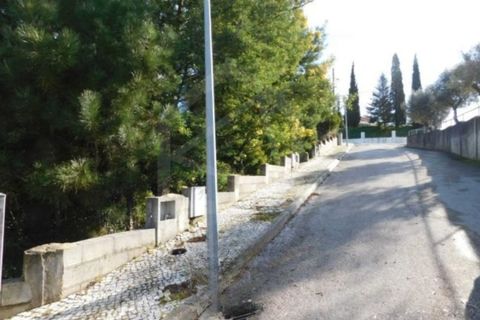 Terra a Luso, Aveiro, Luso - € 181.000 | Ref: 8114 - foto 16