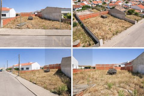 Terra a Torrao, Setubal, Torrao - € 55.000 | Ref: NOX_27 - foto 3