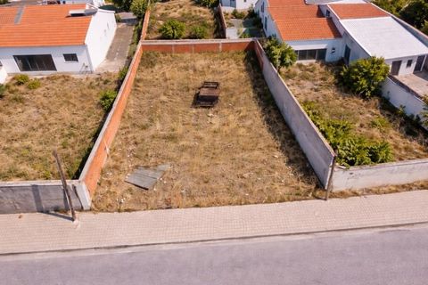 Terra a Torrao, Setubal, Torrao - € 55.000 | Ref: NOX_27 - foto 6