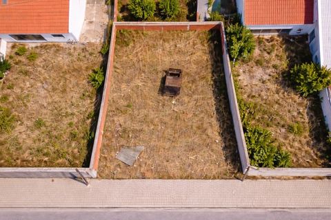 Terra a Torrao, Setubal, Torrao - € 55.000 | Ref: NOX_27 - foto 7