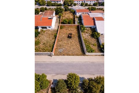 Terra a Torrao, Setubal, Torrao - € 55.000 | Ref: NOX_27 - foto 8