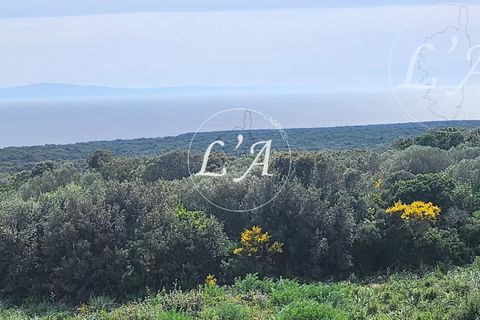Villa a Bonifacio, Corse-du-Sud, Bonifacio - € 1.720.000 | Ref: JCB2M000988BAN - foto 4