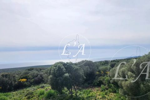 Villa a Bonifacio, Corse-du-Sud, Bonifacio - € 1.720.000 | Ref: JCB2M000988BAN - foto 5