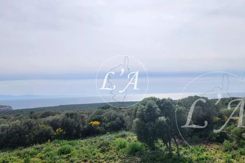 Villa a Bonifacio, Corse-du-Sud, Bonifacio - € 1.720.000 | Ref: JCB2M000988BAN - foto 6