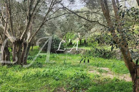 Villa a Bonifacio, Corse-du-Sud, Bonifacio - € 1.720.000 | Ref: JCB2M000988BAN - foto 17