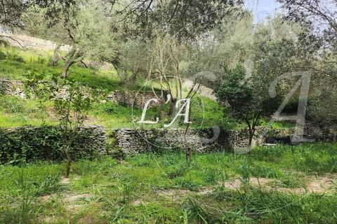 Villa a Bonifacio, Corse-du-Sud, Bonifacio - € 1.720.000 | Ref: JCB2M000988BAN - foto 18