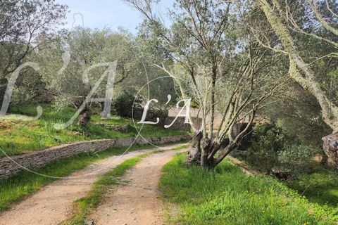 Villa a Bonifacio, Corse-du-Sud, Bonifacio - € 1.720.000 | Ref: JCB2M000988BAN - foto 21
