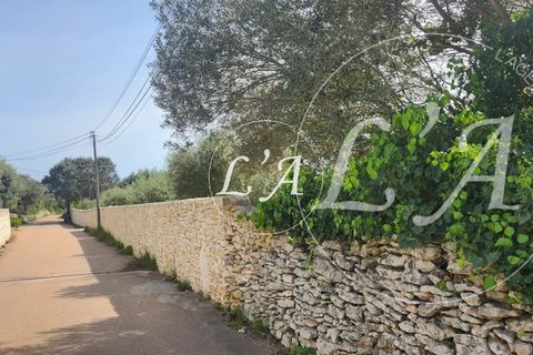Villa a Bonifacio, Corse-du-Sud, Bonifacio - € 1.720.000 | Ref: JCB2M000988BAN - foto 22