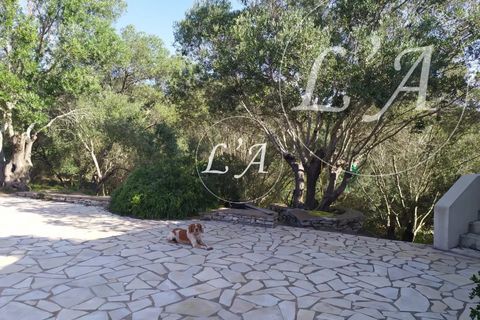 Villa a Bonifacio, Corse-du-Sud, Bonifacio - € 1.720.000 | Ref: JCB2M000988BAN - foto 23