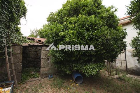 Landejendom i Covilha, Castelo Branco, Covilha - € 45.000 | Ref: PP4658 - foto 2
