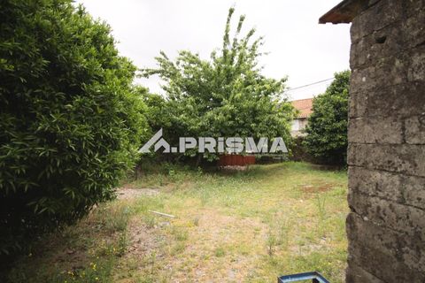 Landejendom i Covilha, Castelo Branco, Covilha - € 45.000 | Ref: PP4658 - foto 4