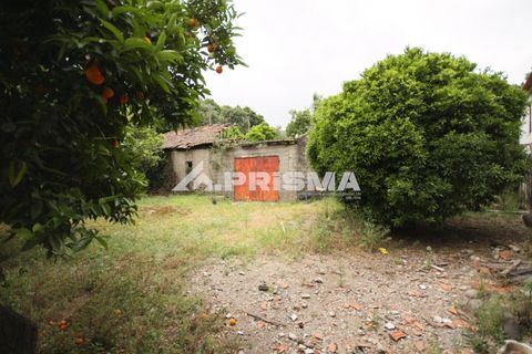 Landejendom i Covilha, Castelo Branco, Covilha - € 45.000 | Ref: PP4658 - foto 7