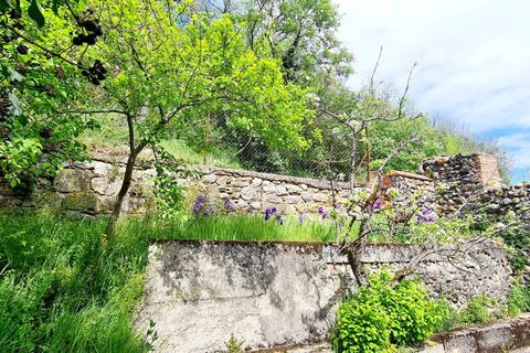 Landejendom i Pailhes, Ariege, Pailhes - € 83.000 | Ref: 86165840 - foto 13