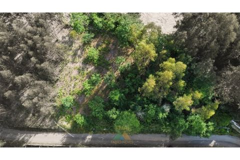 Helårsgrund i Arcos de Valdevez, Viana do Castelo, Arcos de Valdevez - € 25.000 | Ref: AVV-021-034 - foto 1