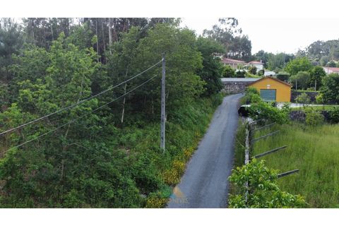 Helårsgrund i Arcos de Valdevez, Viana do Castelo, Arcos de Valdevez - € 25.000 | Ref: AVV-021-034 - foto 2