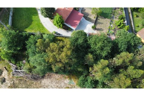 Helårsgrund i Arcos de Valdevez, Viana do Castelo, Arcos de Valdevez - € 25.000 | Ref: AVV-021-034 - foto 3