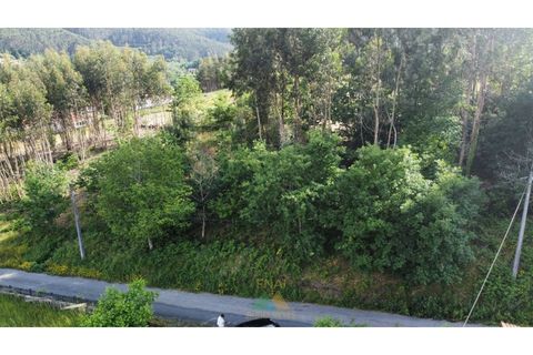 Helårsgrund i Arcos de Valdevez, Viana do Castelo, Arcos de Valdevez - € 25.000 | Ref: AVV-021-034 - foto 9