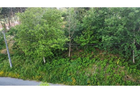 Helårsgrund i Arcos de Valdevez, Viana do Castelo, Arcos de Valdevez - € 25.000 | Ref: AVV-021-034 - foto 10