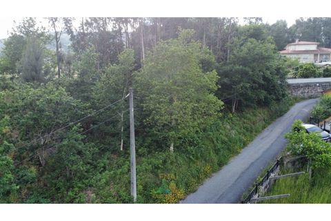 Helårsgrund i Arcos de Valdevez, Viana do Castelo, Arcos de Valdevez - € 25.000 | Ref: AVV-021-034 - foto 11
